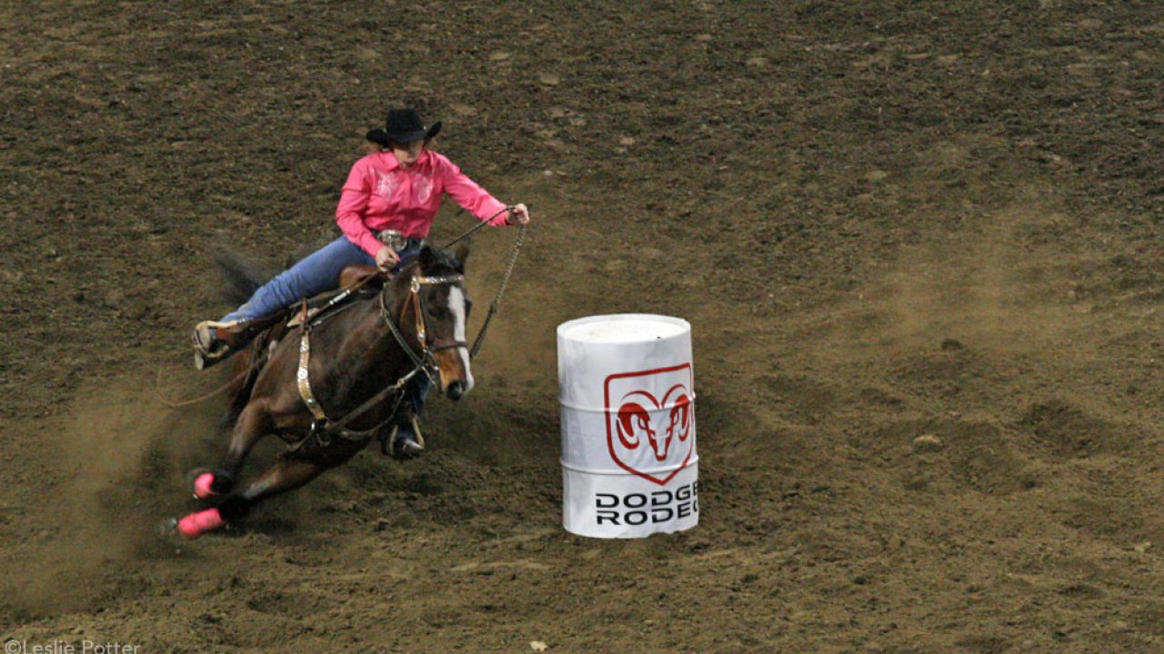 Barrel Racing Essentials Horse Illustrated