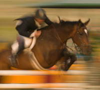 blur horse