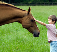 boy with horse