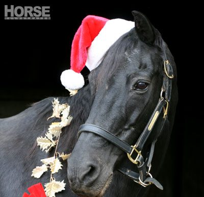 christmas horse