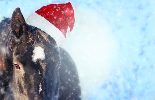 christmas santa horse