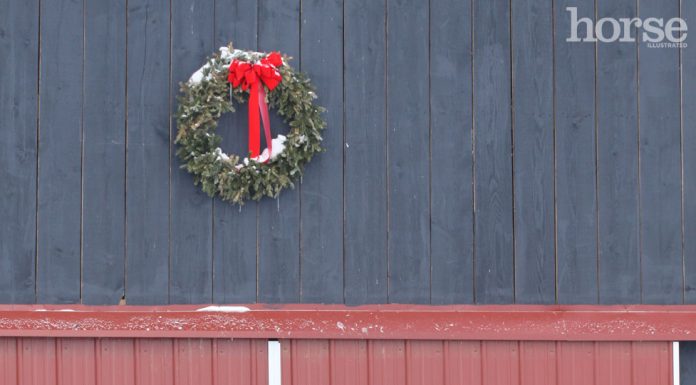 christmas wreath pony