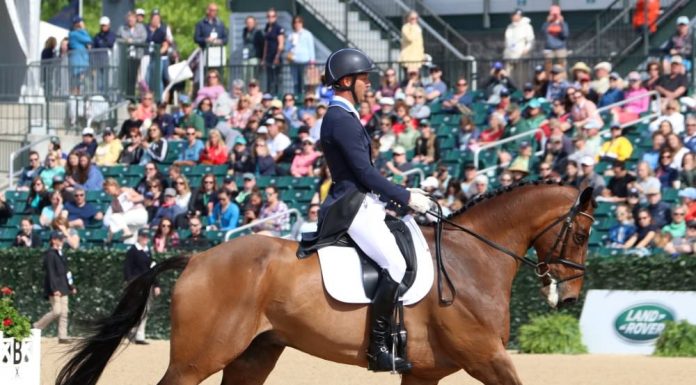 clark montgomery loughan glen dressage