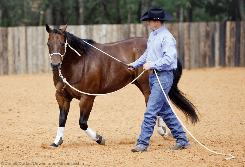 Circle Driving with Clinton Anderson - Horse Illustrated