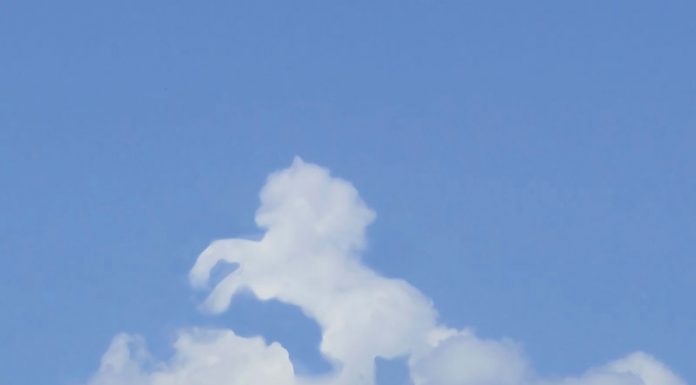 cloud horse