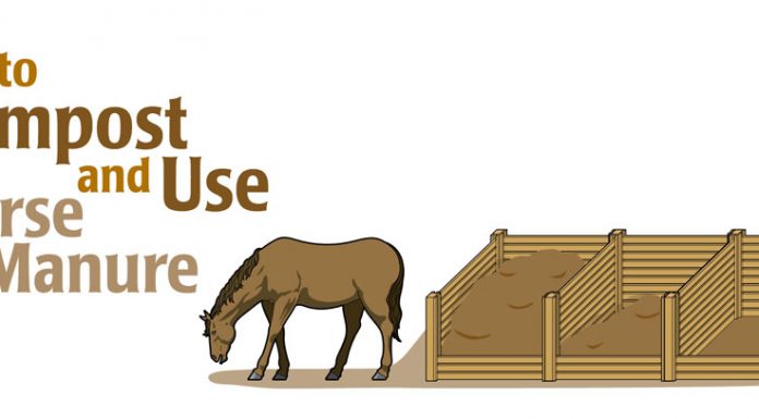 compost horse manure