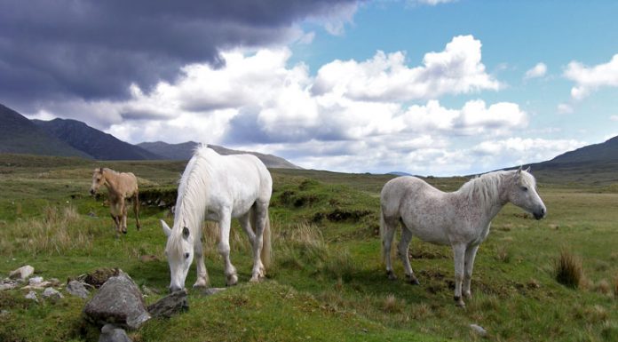 connemara