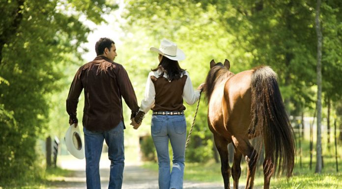 Couple with a horse