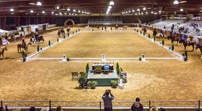 cowboy dressage court