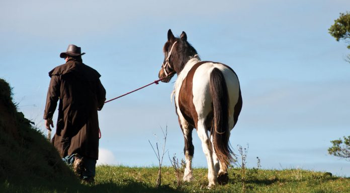 cowboy walking a horse