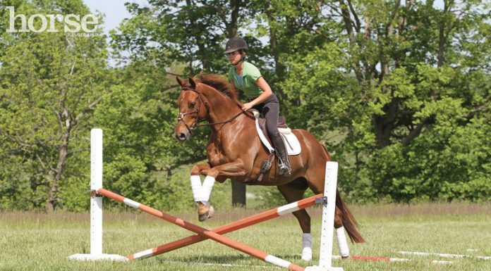 cross rail schooling