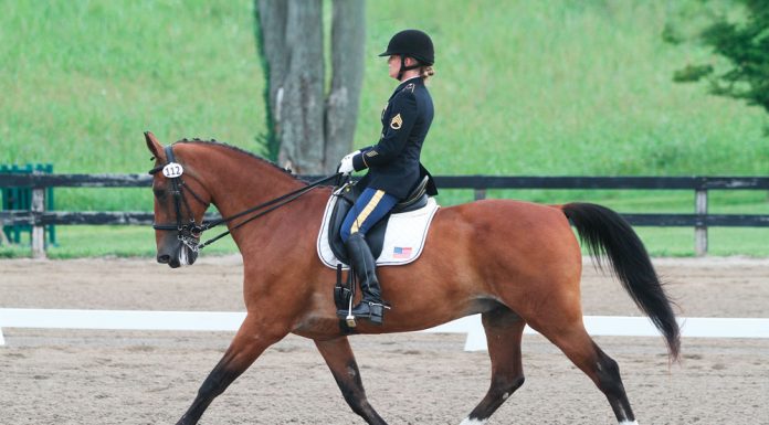 dressage in army uniform