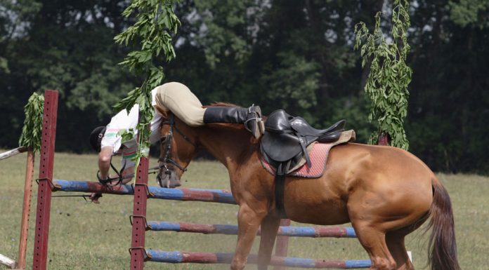 falling off a horse