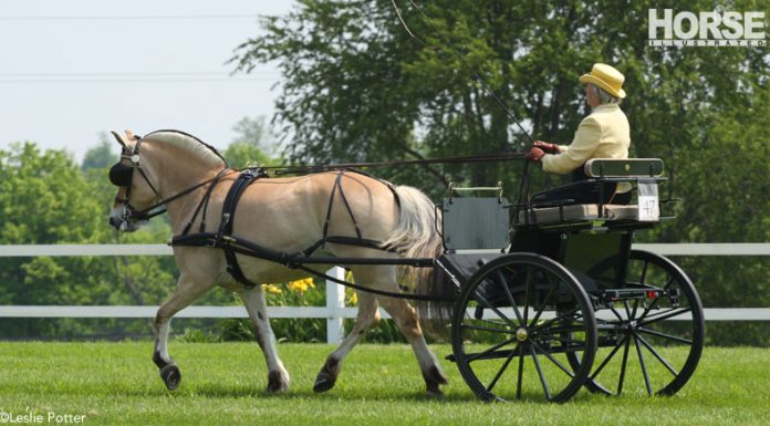 fjord carriage