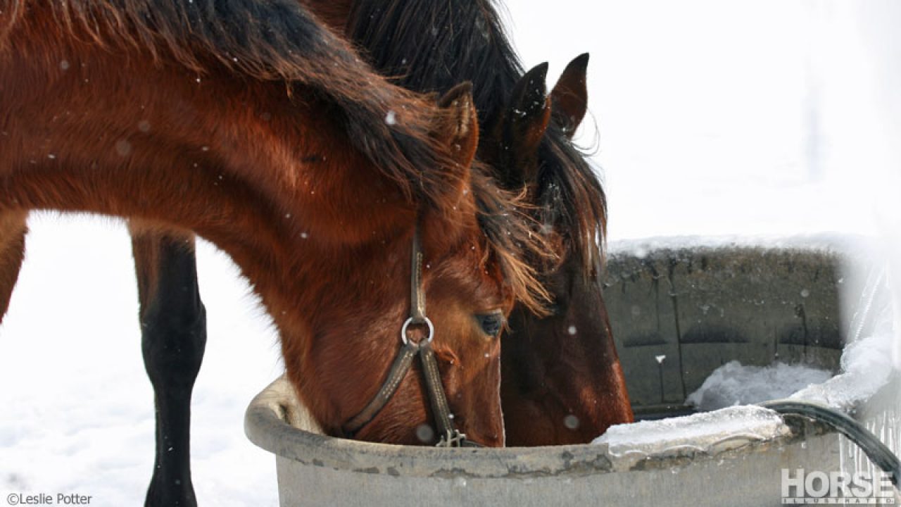 Making Sure Your Horse Has Water During Severe Winter Storms – The Horse