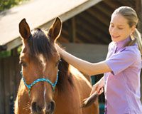 girl grooming pony