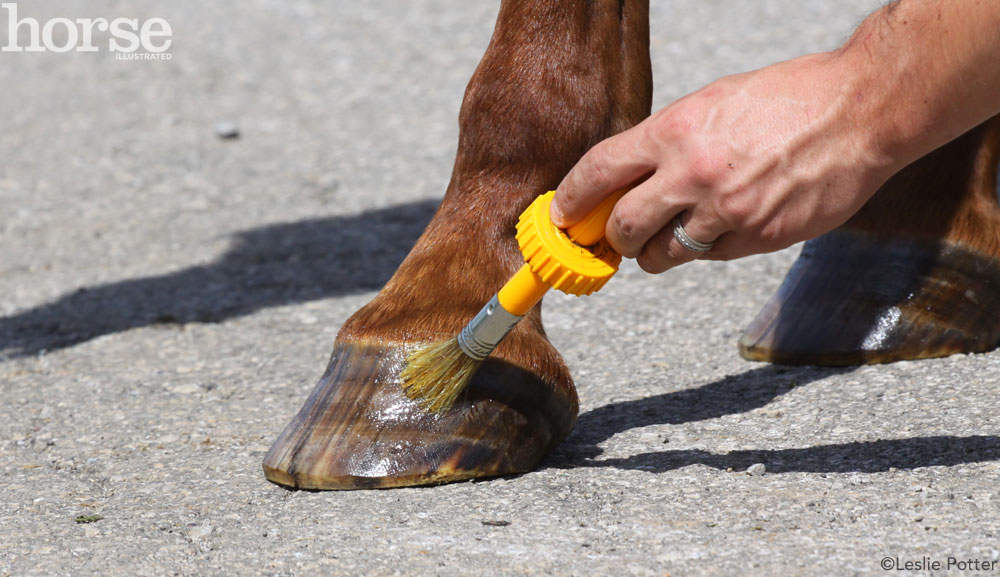 Experts' Opinions on Keeping a Barefoot Horse - Horse Illustrated