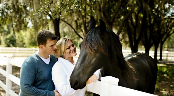 horse and couple