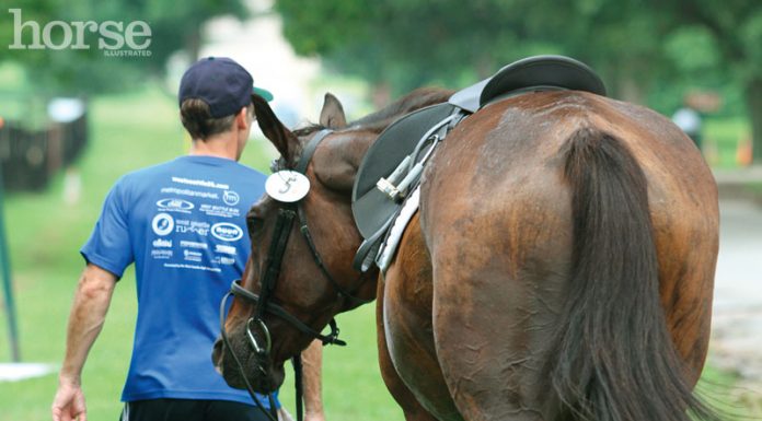 horse husband