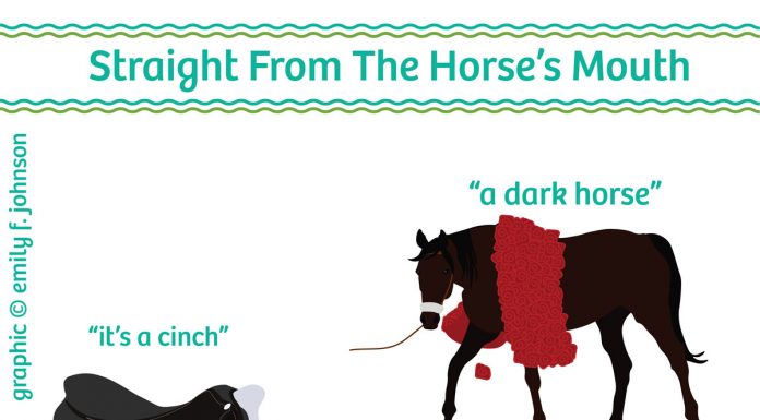 horse phrases infographic