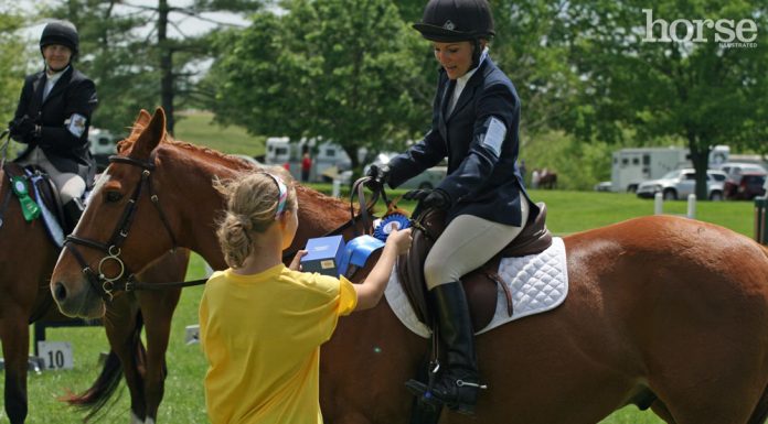 horse show blue ribbon