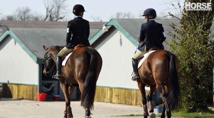 horse show friends