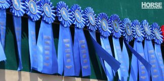 horse show ribbons