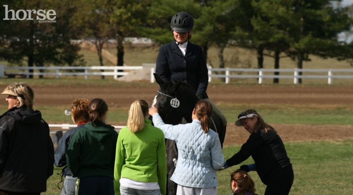 horse show squad