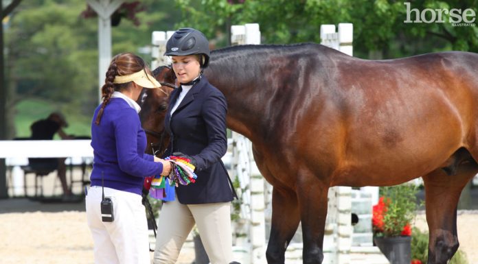 horse show volunteer