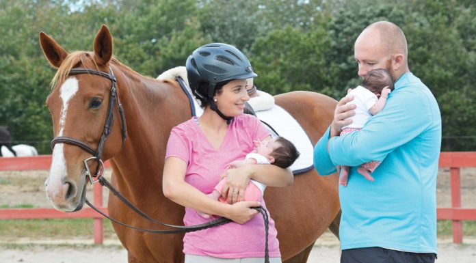 horses and babies