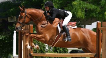 20 Tips to Make You a Better Jumper
