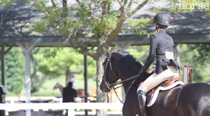 Rider at a horse show