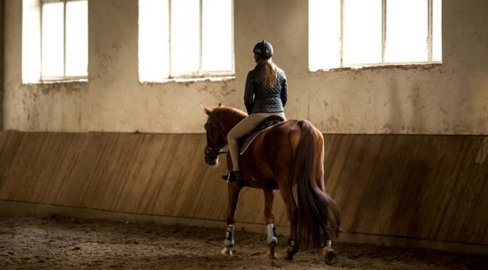 indoor arena