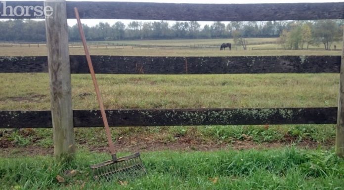 manure fork