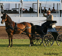 morgan carriage