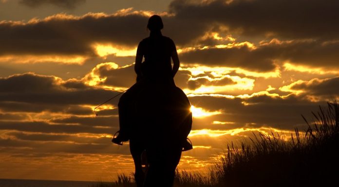 Silhouette of a horse and rider on the beach at sunset