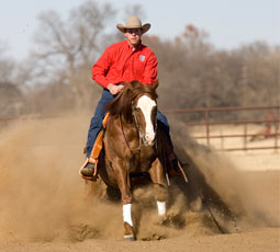 open reining