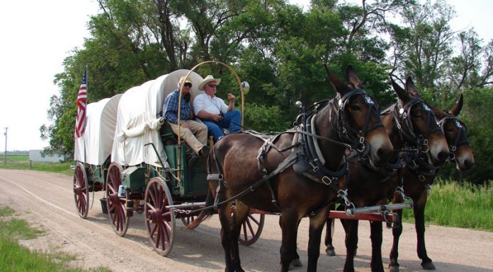 oregon trail wagon