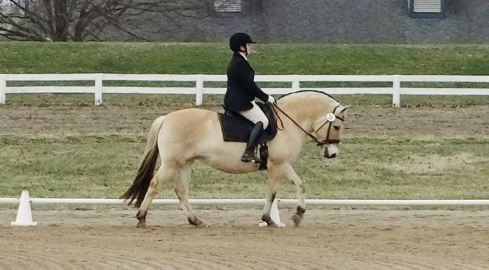 pancake dressage