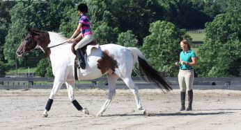On Being the Riding Lesson Role Model