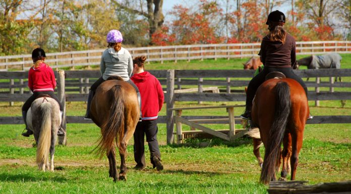 riding lesson kids