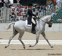 rolex hoy ringwood cockatoo