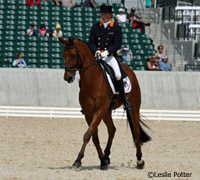 rolex tlips dressage