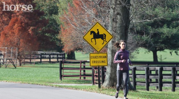 running equestrian