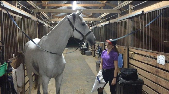 running late at the barn