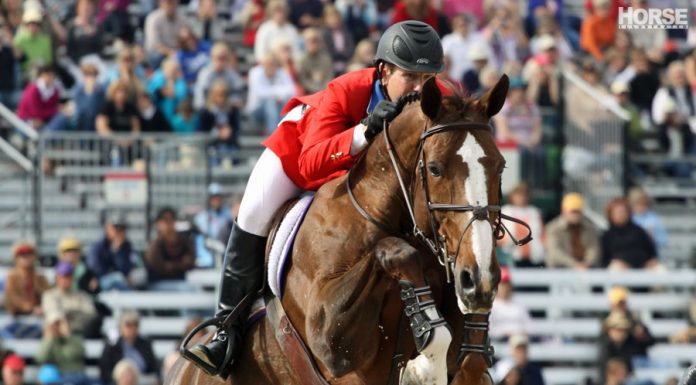 sapphire mclain ward