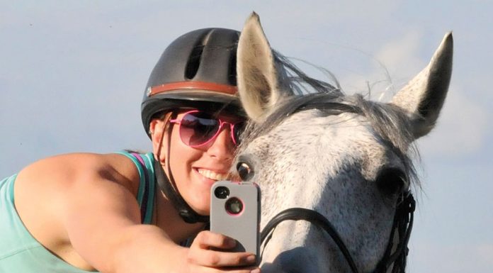 selfie horse