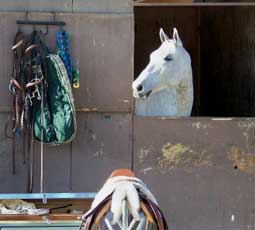 show stall