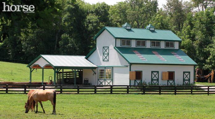 small horse barn