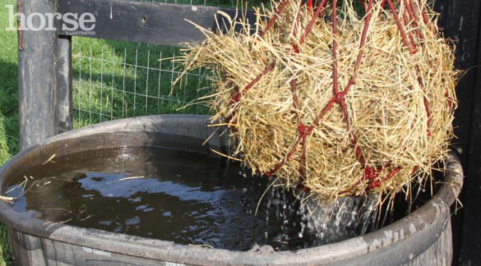 soaking hay